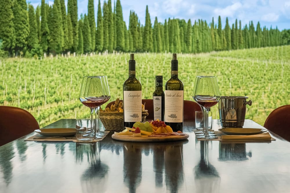 Tenuta Arceno 4