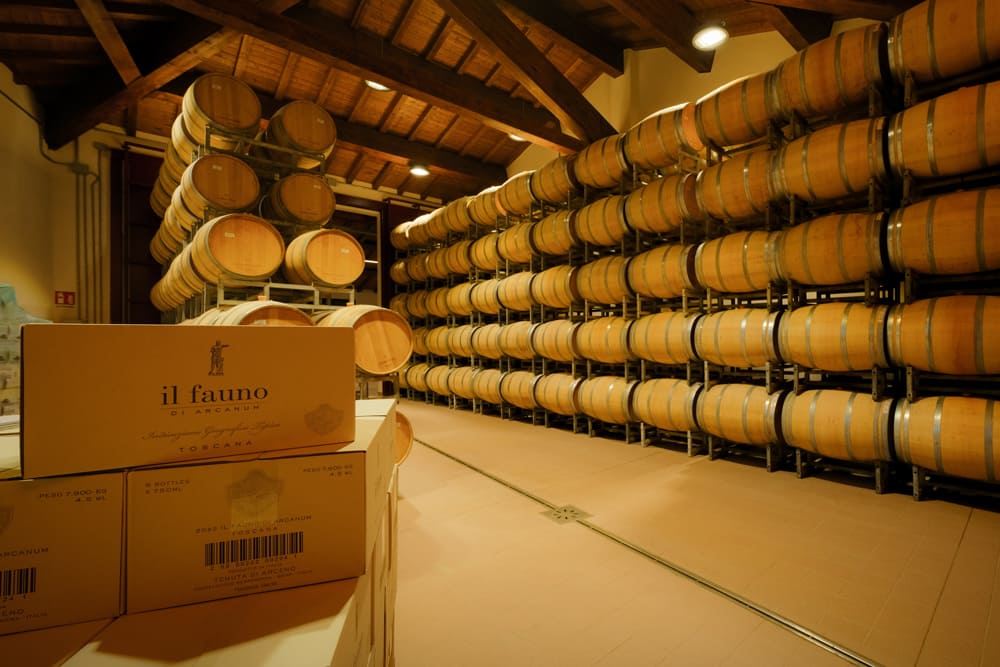 Tenuta Arceno 5