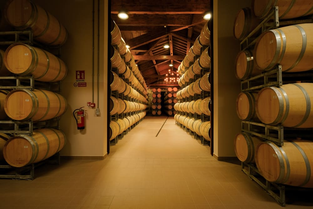 Tenuta Arceno 6